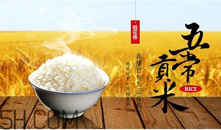 五常大米什么時候種植？五常大米是什么品種