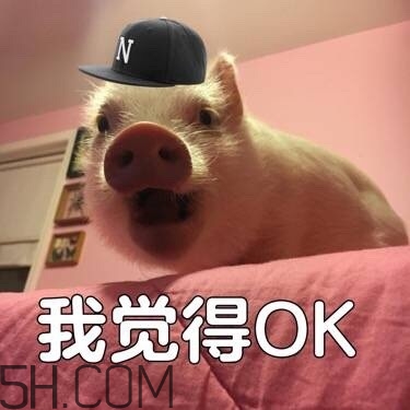 ojbk是什么意思？ojbk表情包
