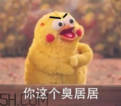 你個(gè)臭居居什么意思？你個(gè)臭居居表情包