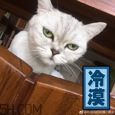 你個(gè)臭居居什么意思？你個(gè)臭居居表情包