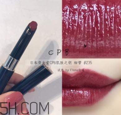 豬肝色口紅哪個(gè)牌子好？豬肝色口紅推薦