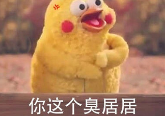你個(gè)臭居居什么意思？你個(gè)臭居居表情包