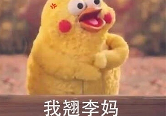 翹李媽什么意思？我翹李媽表情包