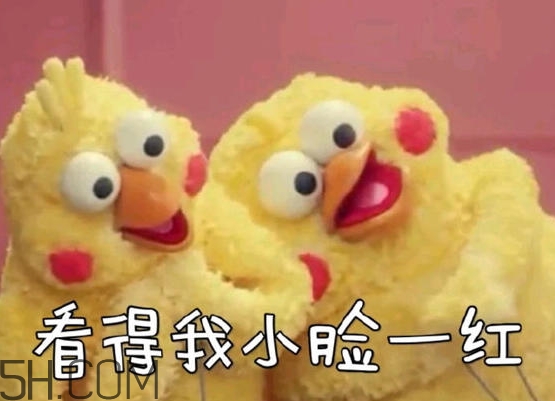 你們都是臭襪子什么意思？你們都是臭襪子表情包