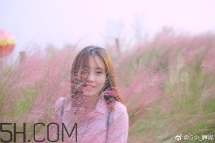 粉黛亂子是什么植物？粉黛亂子草花語