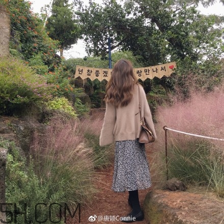 粉黛亂子是什么植物？粉黛亂子草花語