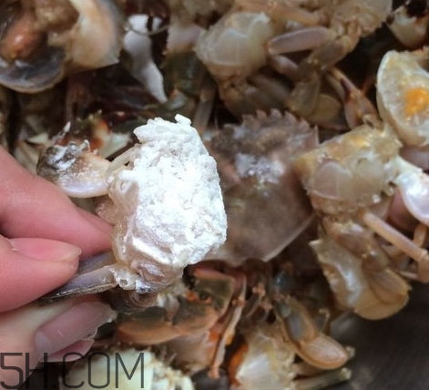 花蓋蟹和梭子蟹哪個(gè)好吃？花蓋蟹和梭子蟹區(qū)別