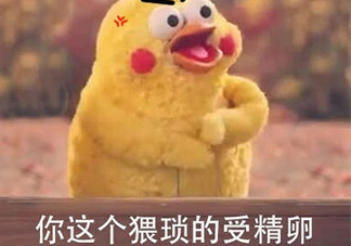 你這個(gè)猥瑣的受精卵是什么意思？你這個(gè)猥瑣的受精卵表情包