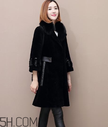 水貂和貂哪個好？貂皮和水貂有什么區(qū)別？