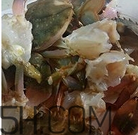 海虹蟹怎么做好吃？海紅蟹的做法