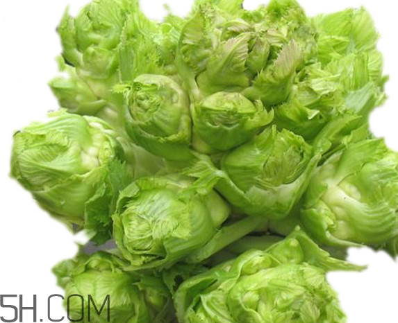 青菜頭是不是兒菜？大頭菜和兒菜的區(qū)別