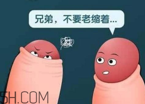 提肛會加重前列腺炎嗎？提肛會勃起正常嗎？