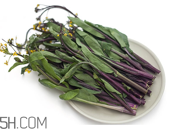紅菜苔為什么炒出來的汁是藍(lán)色的？紅菜苔是什么菜