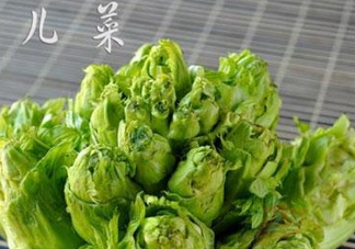 青菜頭是不是兒菜？大頭菜和兒菜的區(qū)別