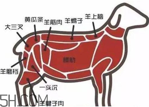 涮羊肉哪個部位最好吃？涮羊肉都有什么菜？