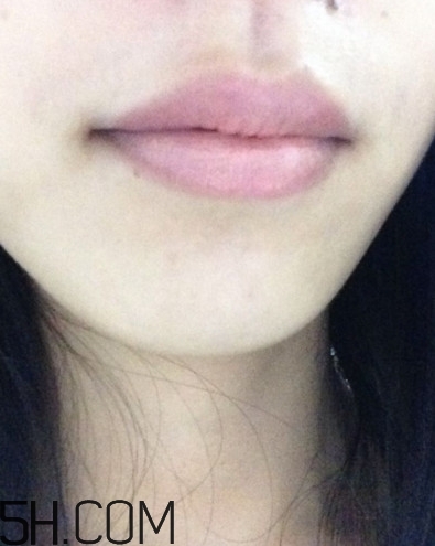 dhc美容液唇膏好嗎？dhc尊貴美容液唇膏試色