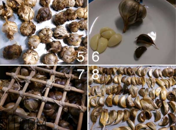 黑大蒜要怎么制作_黑大蒜的制作方法 黑大蒜要怎么制作_黑大蒜的制作方法