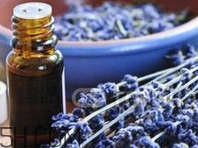 如何用精油護發(fā)？薰衣草精油護發(fā)怎么用？