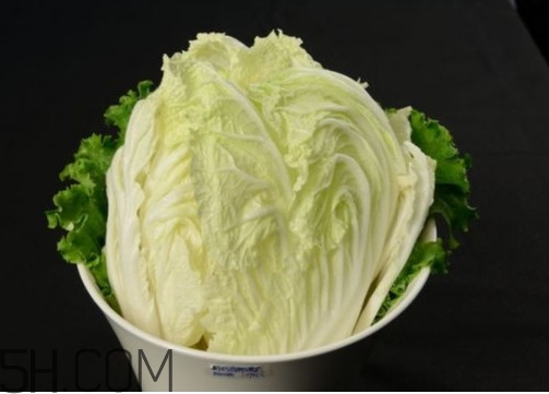 大白菜起源是哪里？大白菜產(chǎn)地分布有哪些