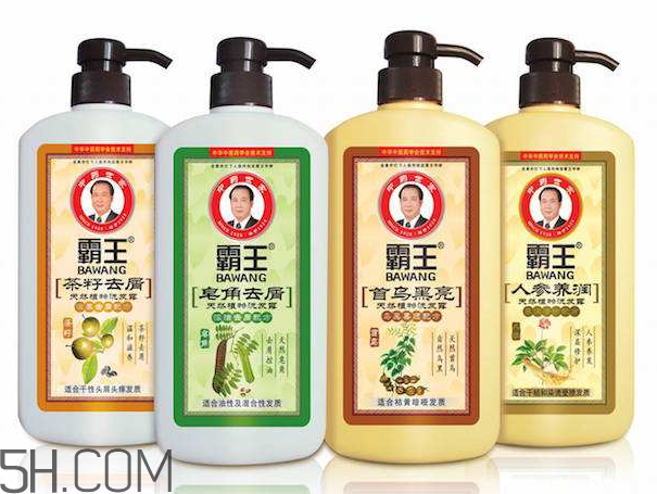 霸王洗發(fā)水產品推薦 霸王洗發(fā)水簡介