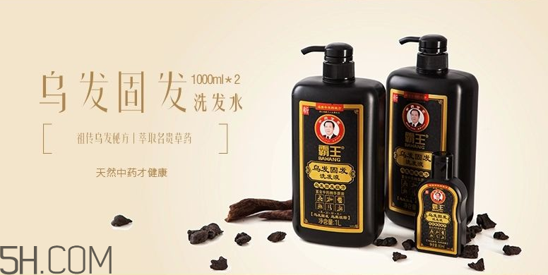 霸王洗發(fā)水產品推薦 霸王洗發(fā)水簡介