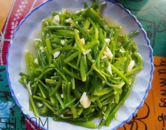 麗江水性楊花是什么菜？水性楊花菜怎么做？