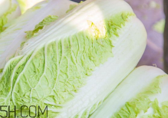 大白菜可以生吃嗎？大白菜可以隔夜吃嗎