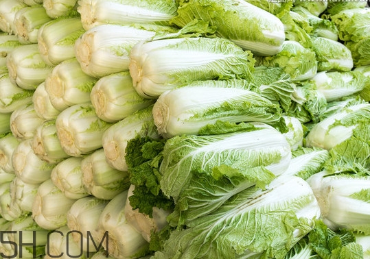 冬儲大白菜怎么才不會壞？冬儲大白菜什么時候上市