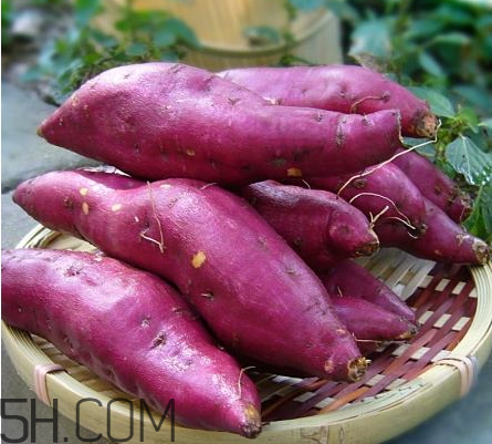 紅薯爛了一點(diǎn)還能吃嗎 紅薯爛了切掉還能吃嗎 紅薯爛了一點(diǎn)還能吃嗎 紅薯爛了切掉還能吃嗎