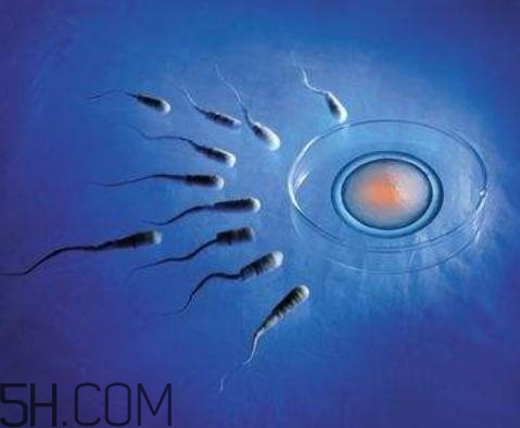 弱精癥能做試管嬰兒?jiǎn)?？弱精癥可以人工受精嗎？