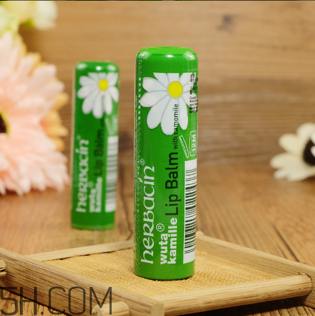 賀本清德國小甘菊潤唇膏好用嗎？賀本清德國小甘菊潤唇膏測評