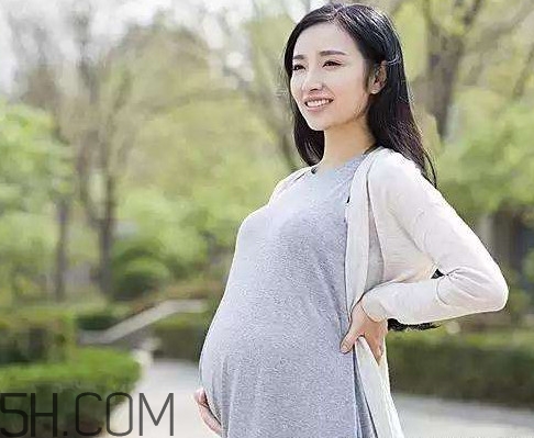 懷孕了可以吃可樂雞翅嗎？可樂雞翅什么人不能吃