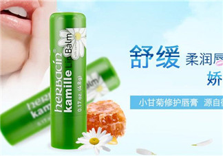 賀本清德國小甘菊潤唇膏好用嗎？賀本清德國小甘菊潤唇膏測評