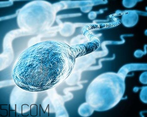 先天性無(wú)精癥怎么辦？先天性無(wú)精癥能治好嗎？