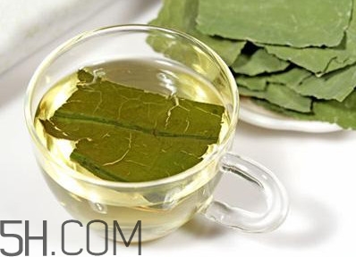 荷葉茶大概哪里有賣？荷葉茶副作用有哪些