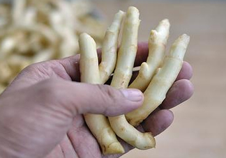 姜芽能吃嗎？姜芽怎么吃