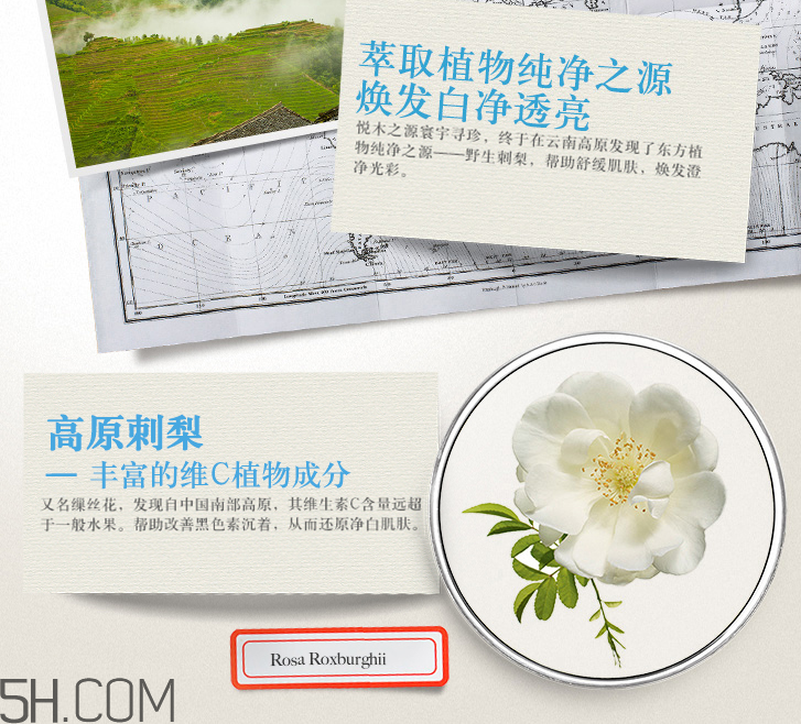 悅木之源韋博士刺梨煥亮潔膚乳 悅木之源韋博士刺梨煥亮潔膚乳