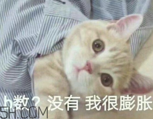 b數(shù)沒有我膨脹什么意思？b數(shù)沒有我膨脹表情包