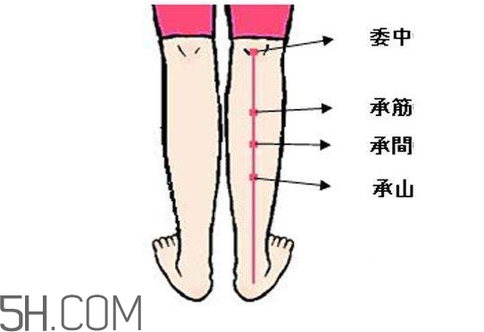 小腿抽筋可以跑步嗎？小腿抽筋可以拔火罐嗎