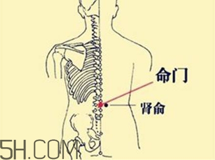 小腿抽筋可以跑步嗎？小腿抽筋可以拔火罐嗎