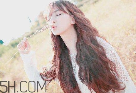 女生說yp到底什么意思？女生發(fā)消息yp什么意思？
