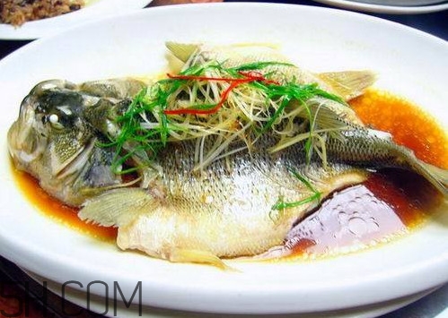 松江鱸魚怎么做？松江鱸魚養(yǎng)殖技術(shù)