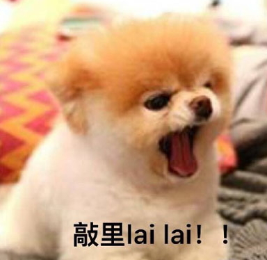 敲里lailai是什么意思？敲里lailai表情包無水印