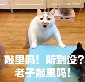 敲里lailai是什么意思？敲里lailai表情包無水印