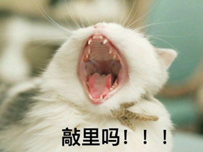 敲里lailai是什么意思？敲里lailai表情包無水印