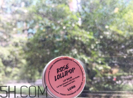 lush潤(rùn)唇膏好用嗎？lush潤(rùn)唇膏多少錢(qián)？