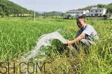 女生說抽水什么意思？女生發(fā)消息想抽水什么意思？