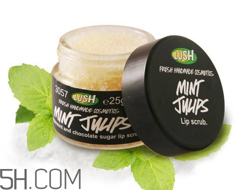 lush唇部磨砂膏好用嗎？lush唇部磨砂膏多少錢(qián)？