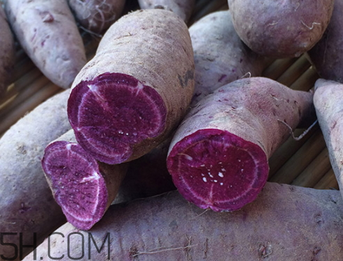 紫薯什么時(shí)候成熟 紫薯幾月份成熟 紫薯什么時(shí)候成熟 紫薯幾月份成熟