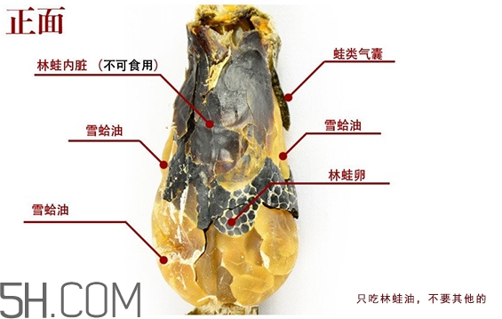 林蛙哪些部位不能吃？林蛙有什么營養(yǎng)